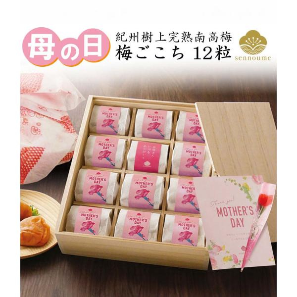 梅ごこち 1