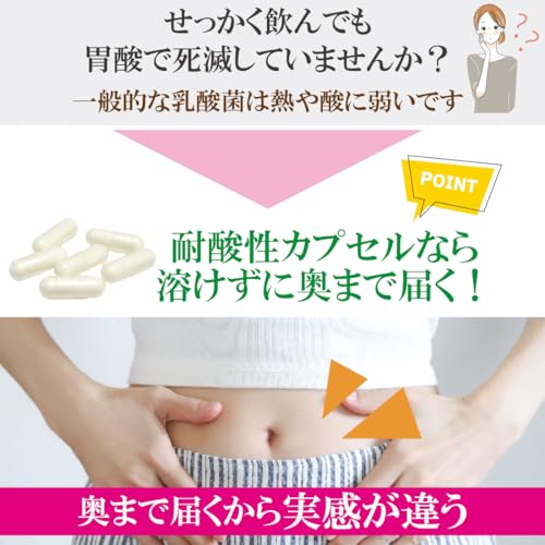 乳酸菌 サプリ 3