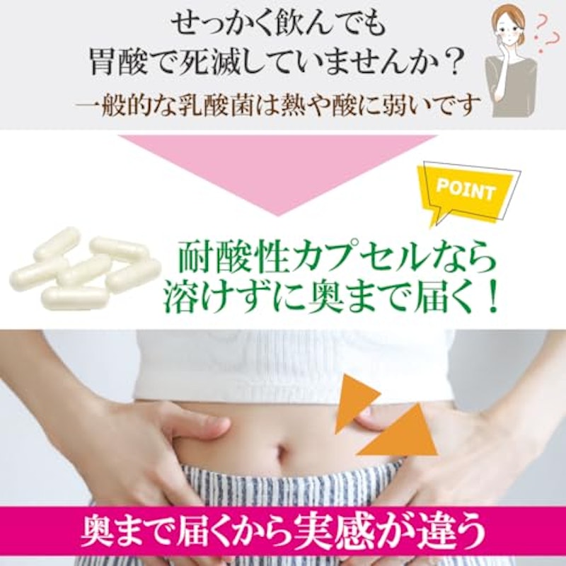 乳酸菌 サプリ 3