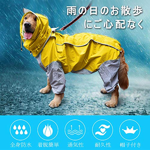 犬用レインコートのおすすめ人気ランキング【2026年6月】 | マイベスト