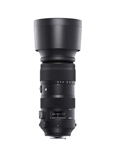 60-600mm F4.5-6.3 DG OS HSM Sports 4