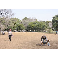 21年 東京都内のドッグランのおすすめ人気ランキング選 Mybest 21年 東京都内のドッグランのおすすめ人気ランキング選 Mybest