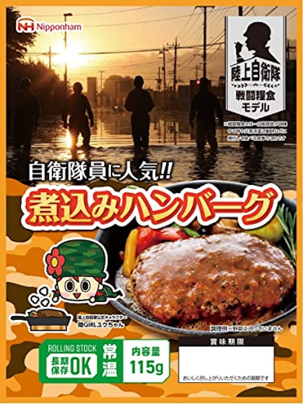 煮込みハンバーグ 1