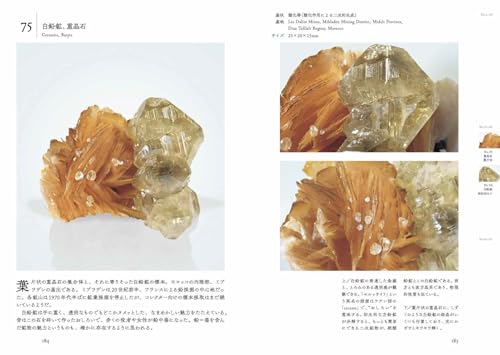 美しい共生鉱物の図鑑 8