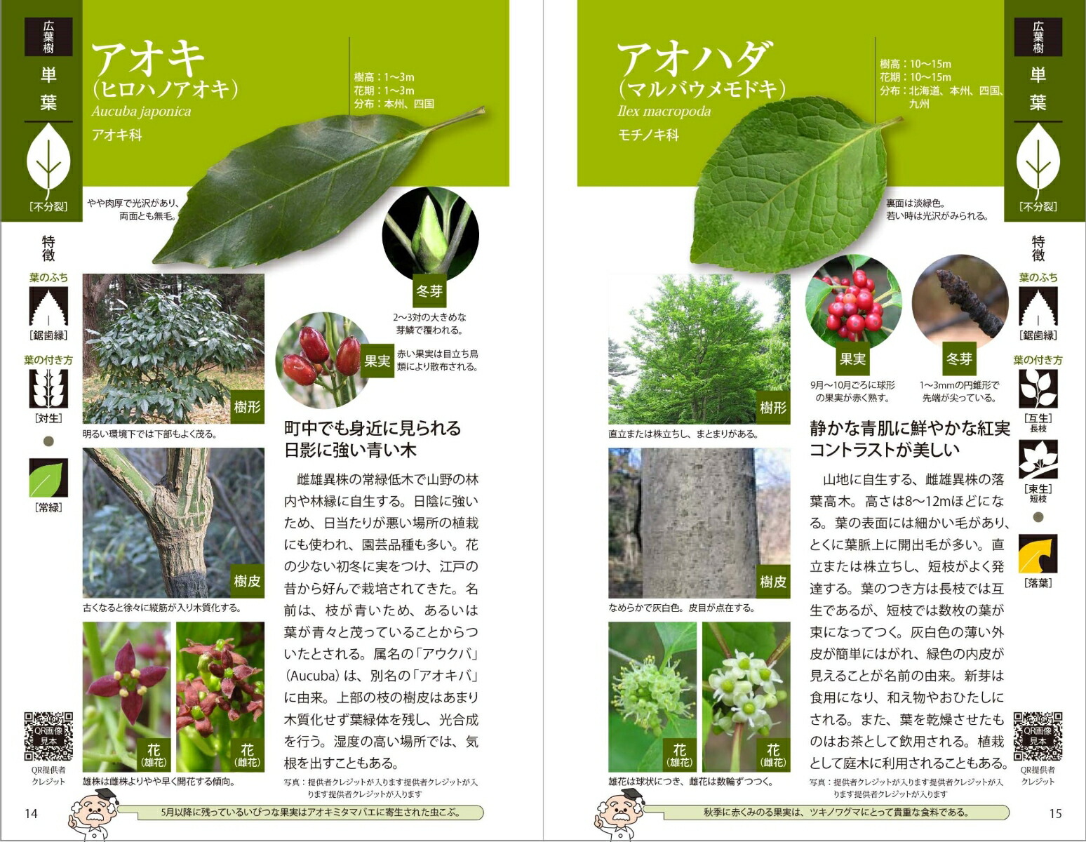 樹木図鑑 4