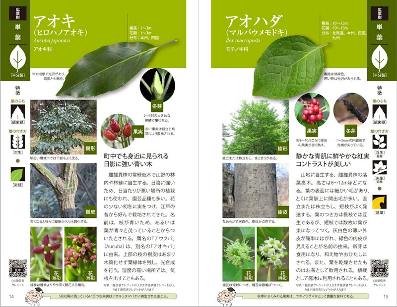 樹木図鑑 4