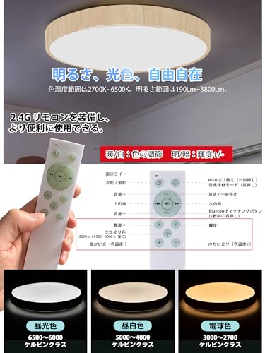 Amazon.co.jp : CHYSONGOODS シーリングライト Google Home