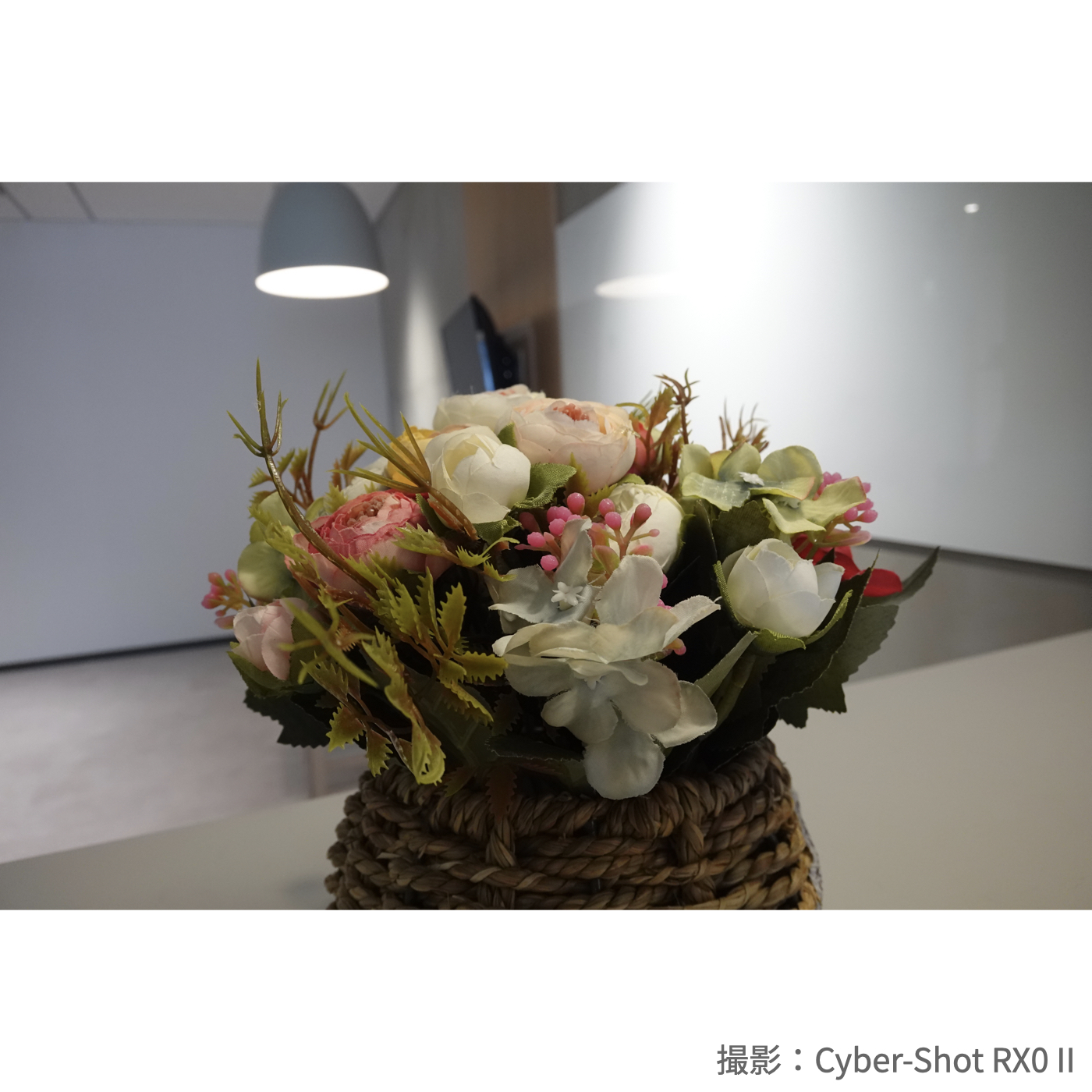 Cyber-Shot RX0Ⅱ 10