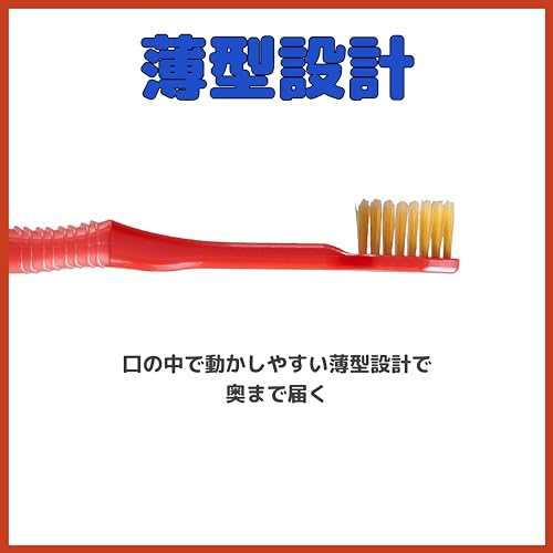 6列レギュラー 6