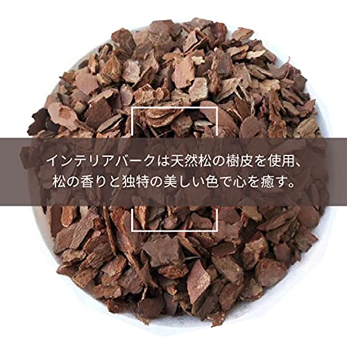 フェイクグリーン 6