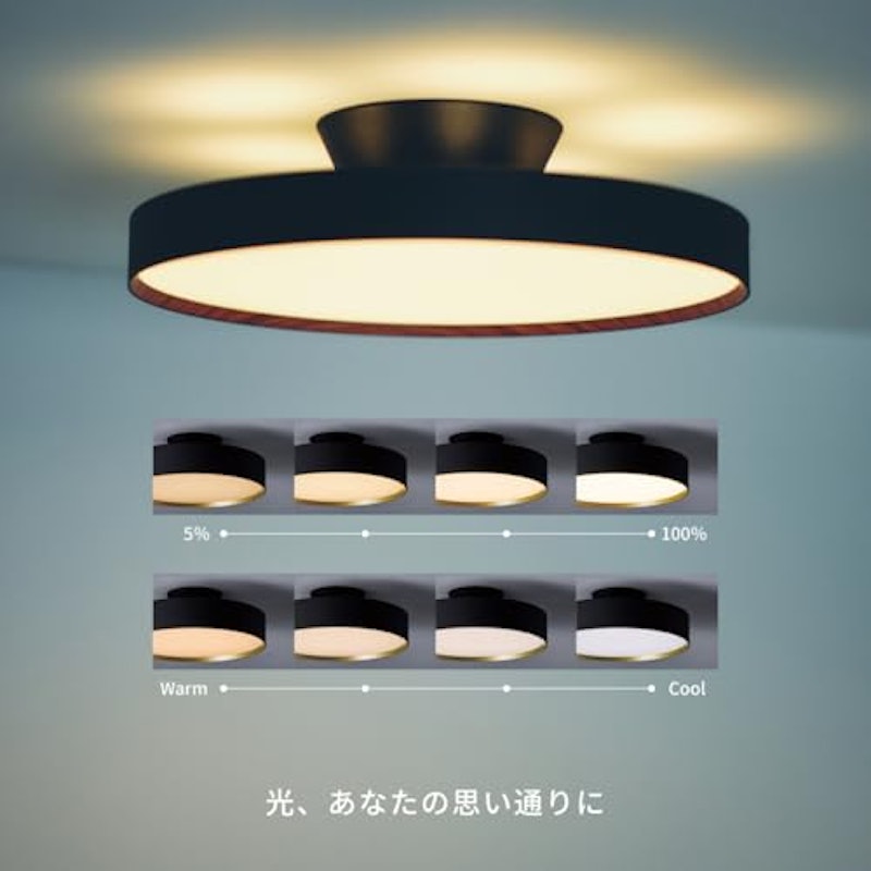 グロー6000 LEDシーリングライト 3