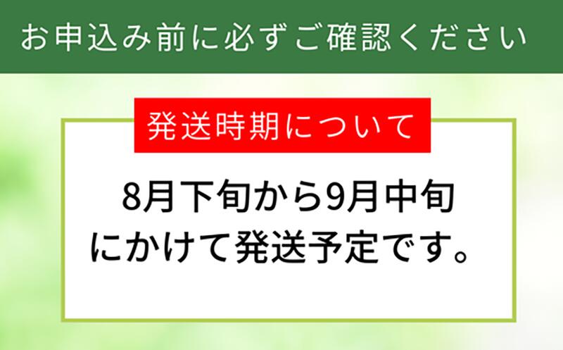 20世紀梨 香住梨 秀品 2