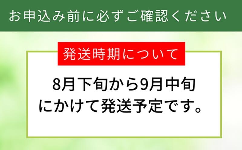20世紀梨 香住梨 秀品 2