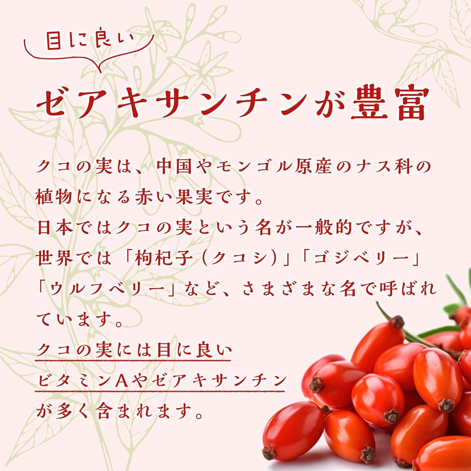 クコの実 4