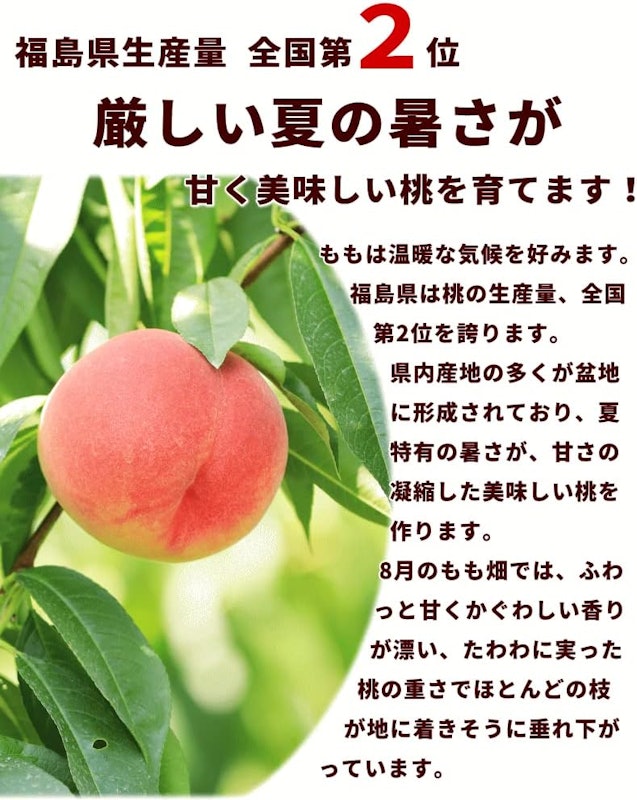 川中島白桃 秀品 4