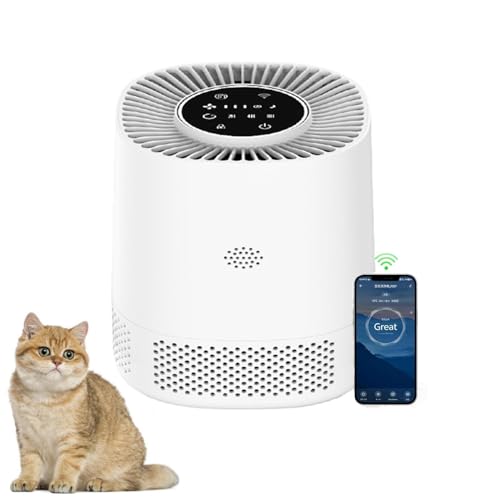 タバコ臭対策向き卓上空気清浄機のおすすめ人気ランキング【2025年11月