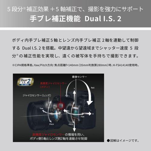 DC-G99M2H 6