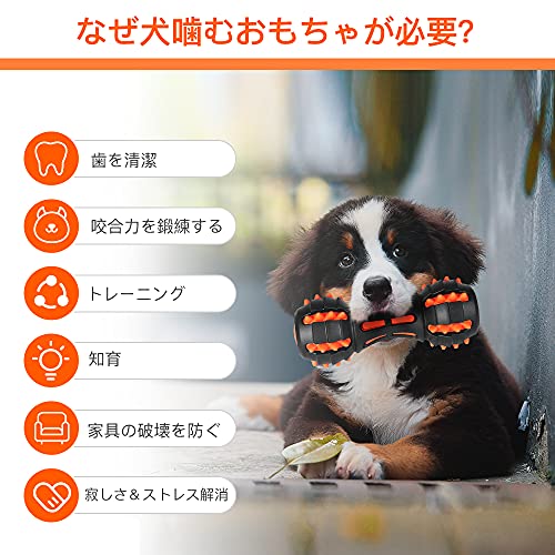 犬用知育玩具のおすすめ人気ランキング【2024年】 | マイベスト