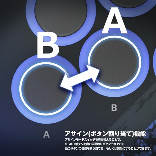 リアルアーケードPro.V HAYABUSA for Windows PC 5
