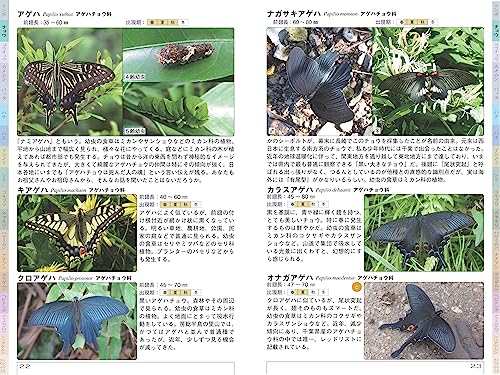 千葉の昆虫図鑑 4