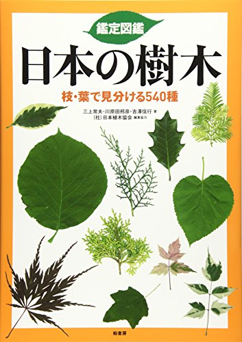 鑑定図鑑 日本の樹木 枝・葉で見分ける540種 1