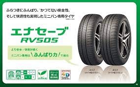 ENASAVE RV505 2