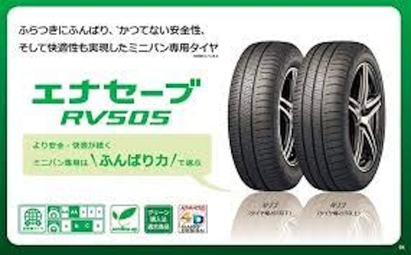 ENASAVE RV505 2