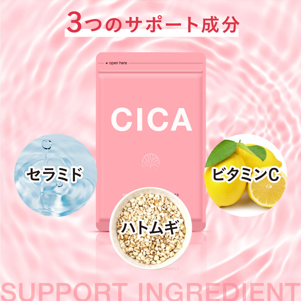  CICA  5
