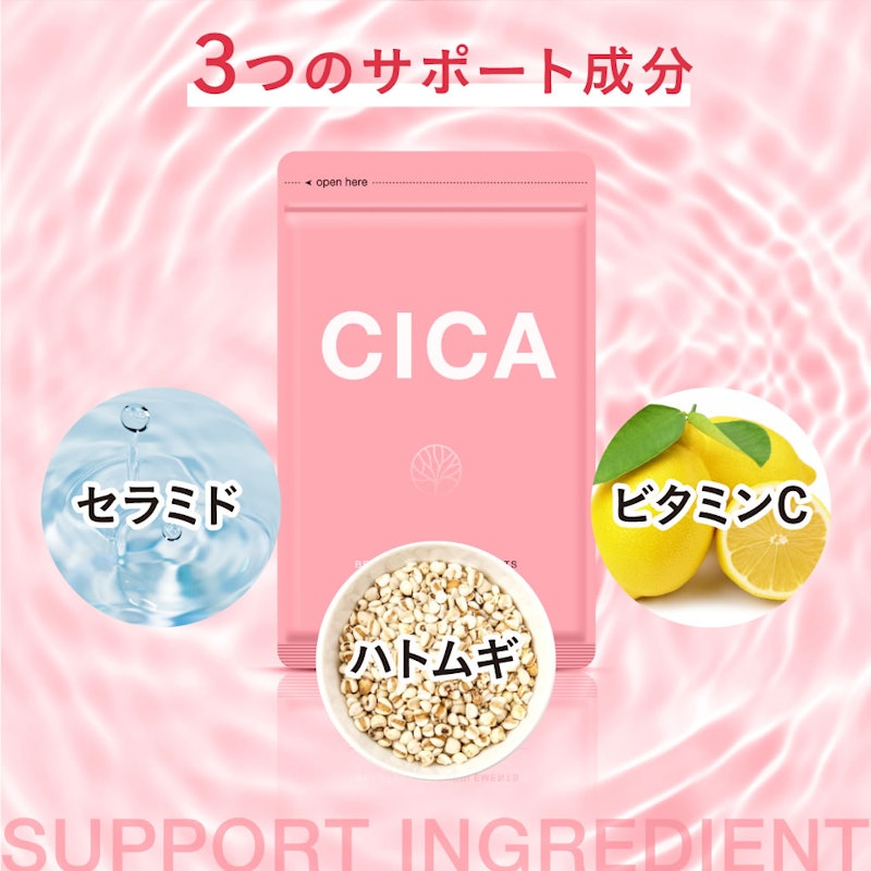 CICA 5