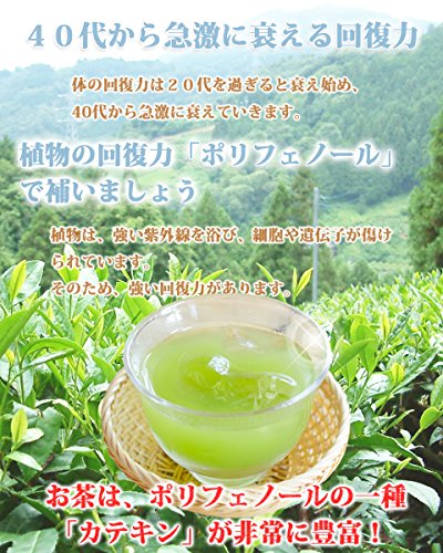 カテキンまるごと 粉末緑茶 4
