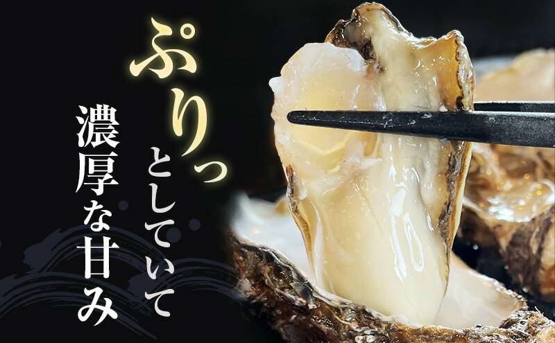 厚岸産殻牡蠣 マルえもん 2