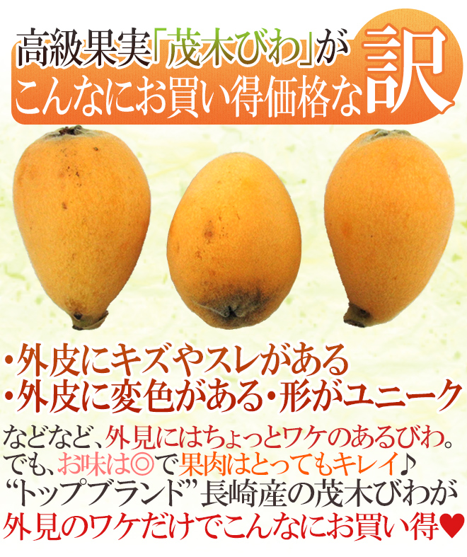 茂木びわ 訳あり 4