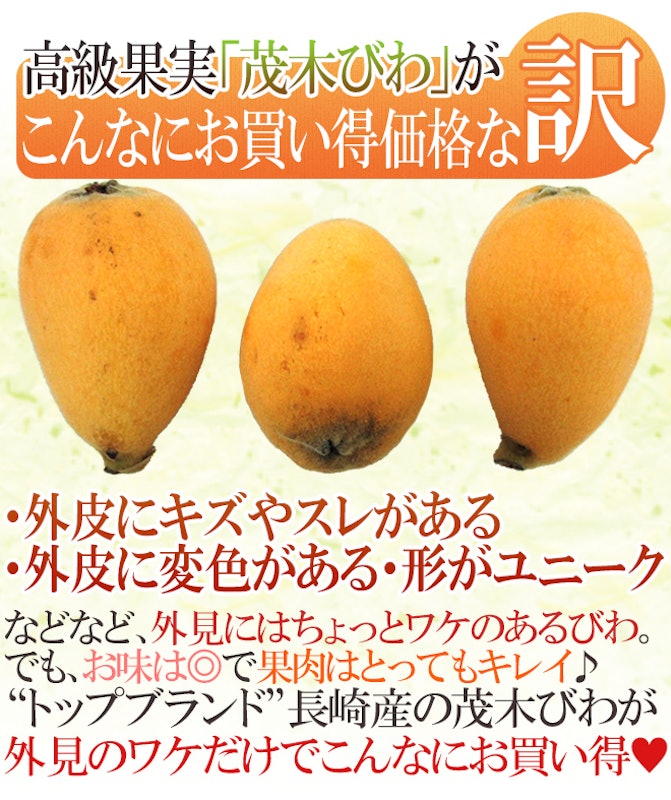 茂木びわ 訳あり 4