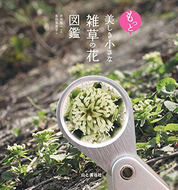もっと美しき小さな雑草の花図鑑 2