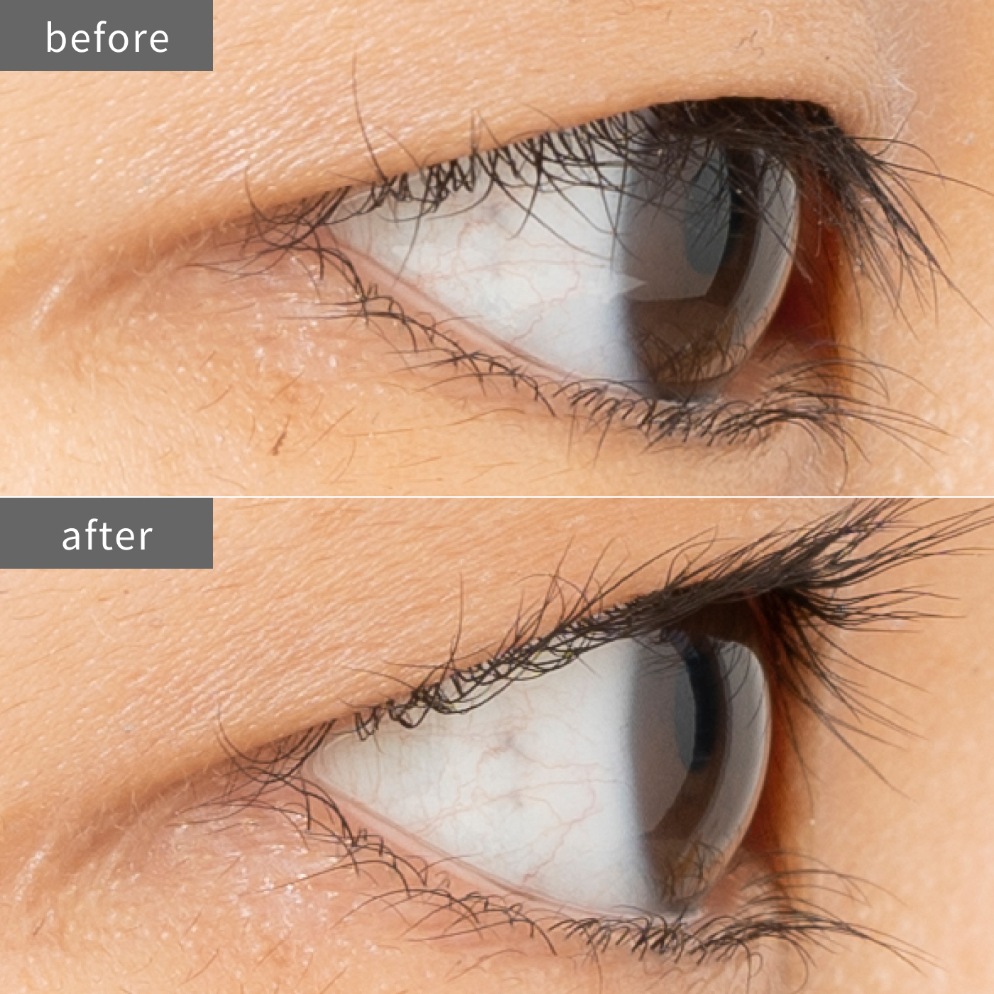 徹底比較 ビューラーのおすすめ人気ランキング33選 年最新版 Mybest