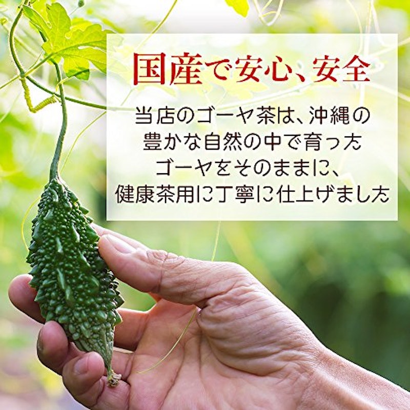 国産(沖縄県産) ゴーヤ茶 3