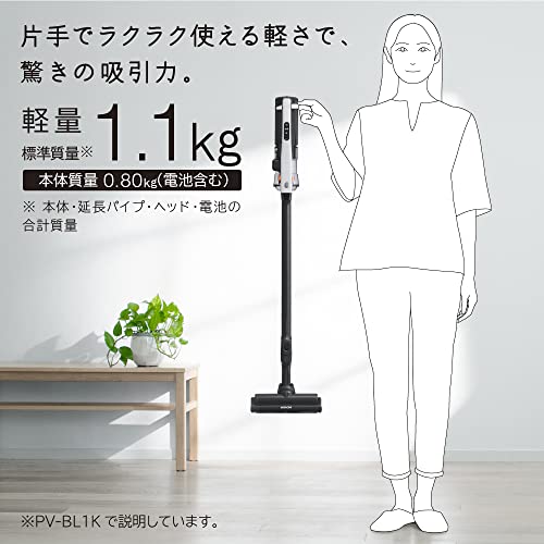 ラクかるスティック 2