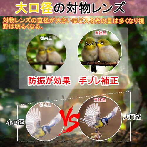 双眼鏡 3