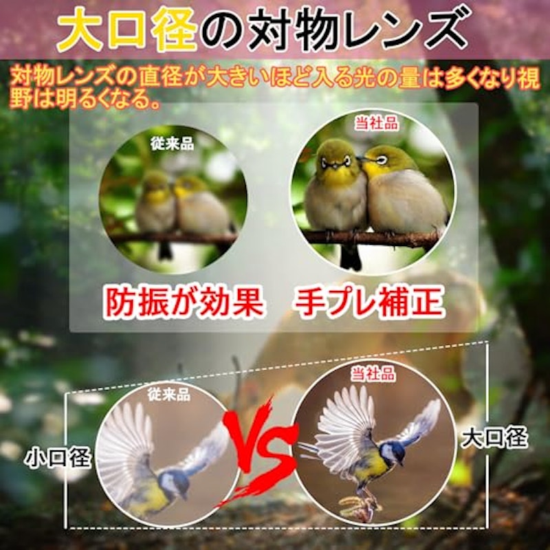 双眼鏡 3