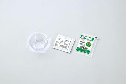 水耕栽培 緑豆もやし 3