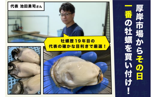 北海道厚岸産 牡蠣むいちゃいました！生食用 4
