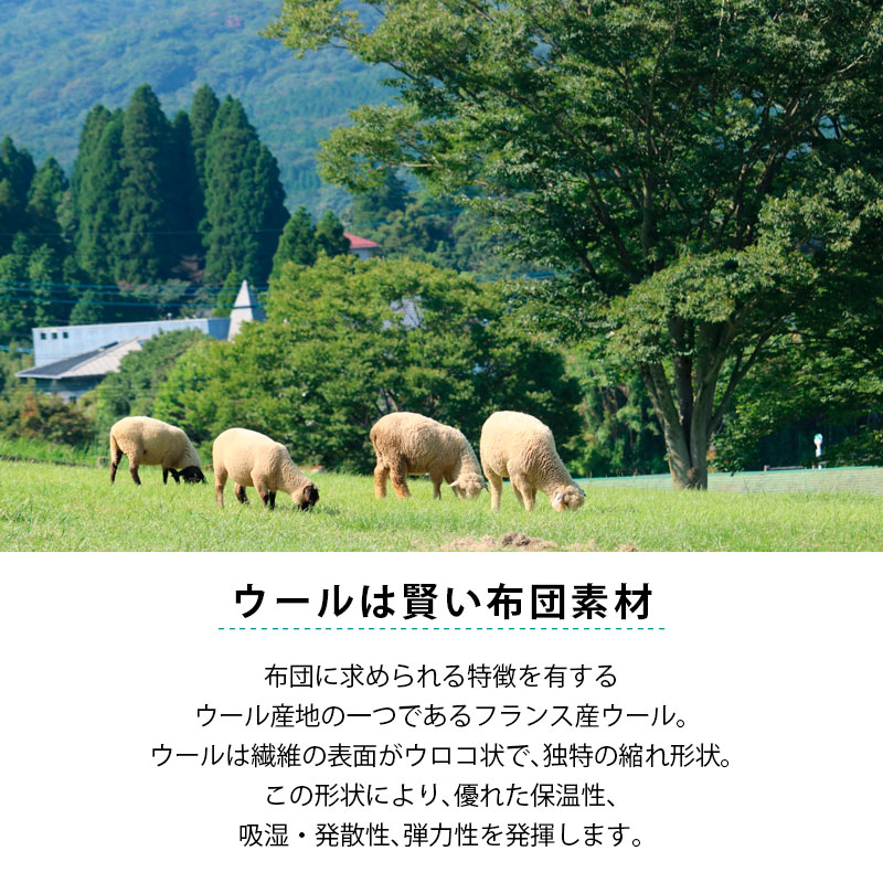 羊毛掛け布団 3