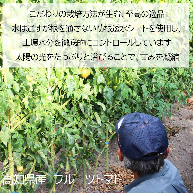とくたにトマト 4