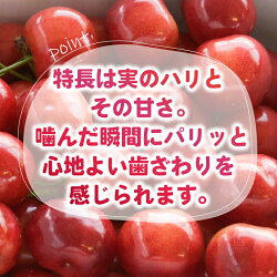 さくらんぼ童夢の紅秀峰 バラ詰め 2