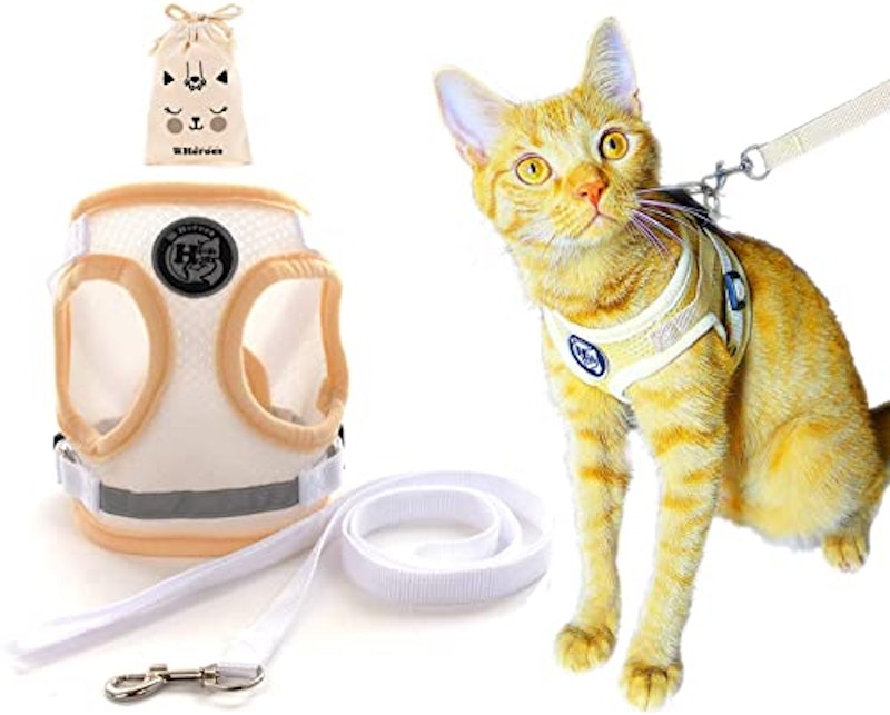 22年 猫用ハーネスのおすすめ人気ランキング33選 Mybest 22年 猫用ハーネスのおすすめ人気ランキング33選 Mybest