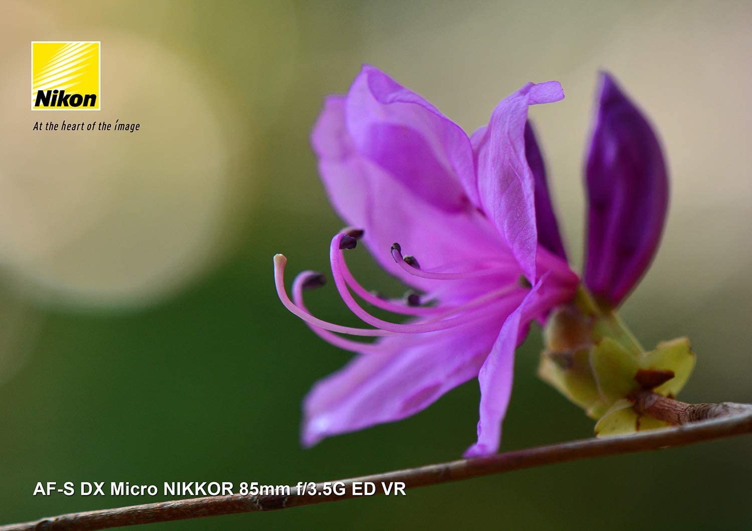 AF-S DX Micro NIKKOR 85mm f/3.5G ED VR 5
