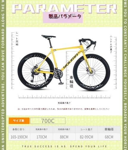 ロードバイク  9