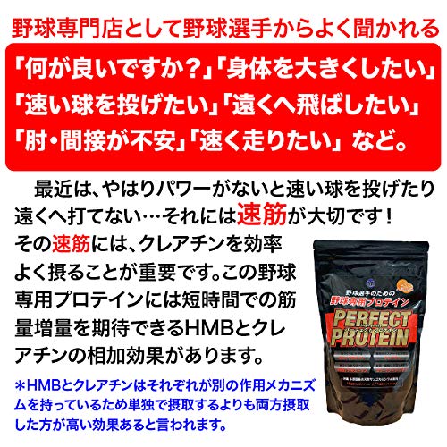 パーフェクトプロテイン 3