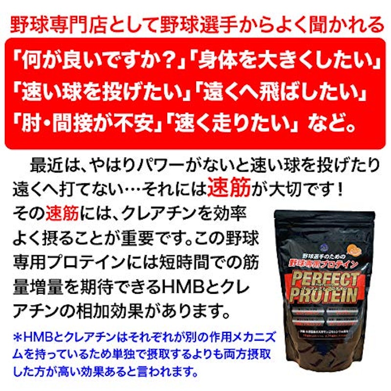 パーフェクトプロテイン 3