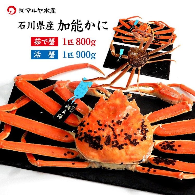 加能かに 1